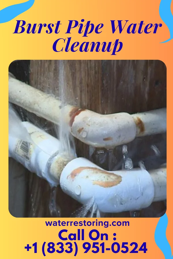 Burst Pipe Water Cleanup in Cheyney University, PA