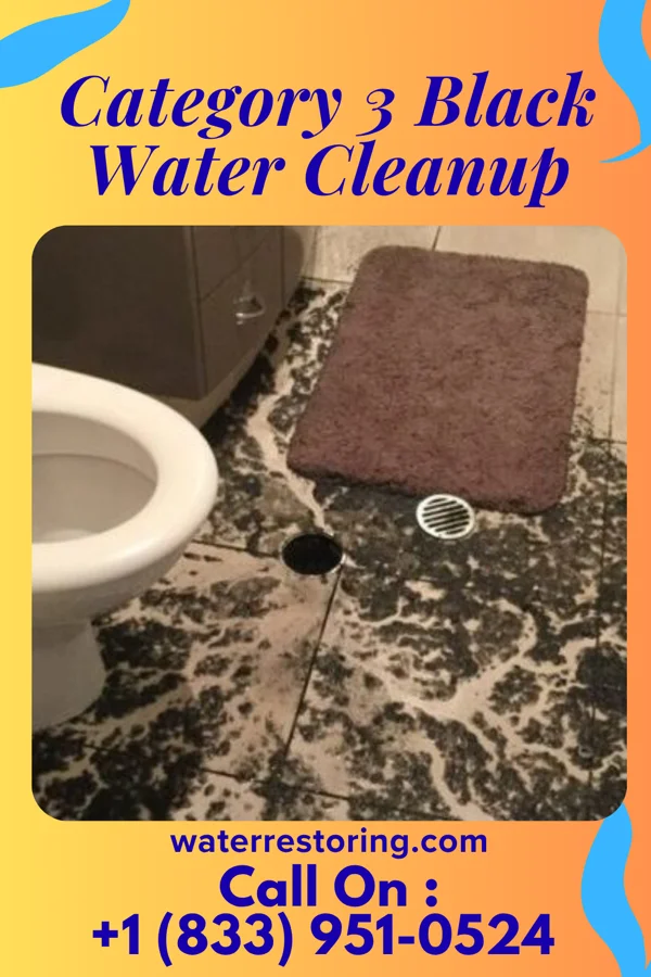 Category 3 Black Water Cleanup in Cheyney University, PA