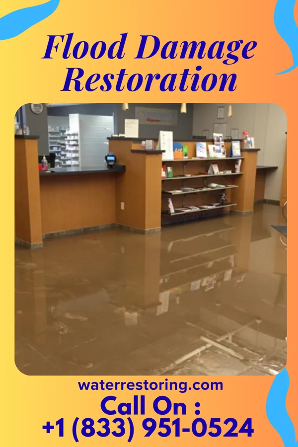 Flood Damage Restoration in Cheyney University, PA
