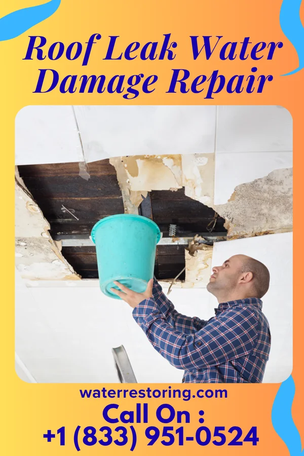 Roof Leak Water Damage Repair in Cheyney University, PA