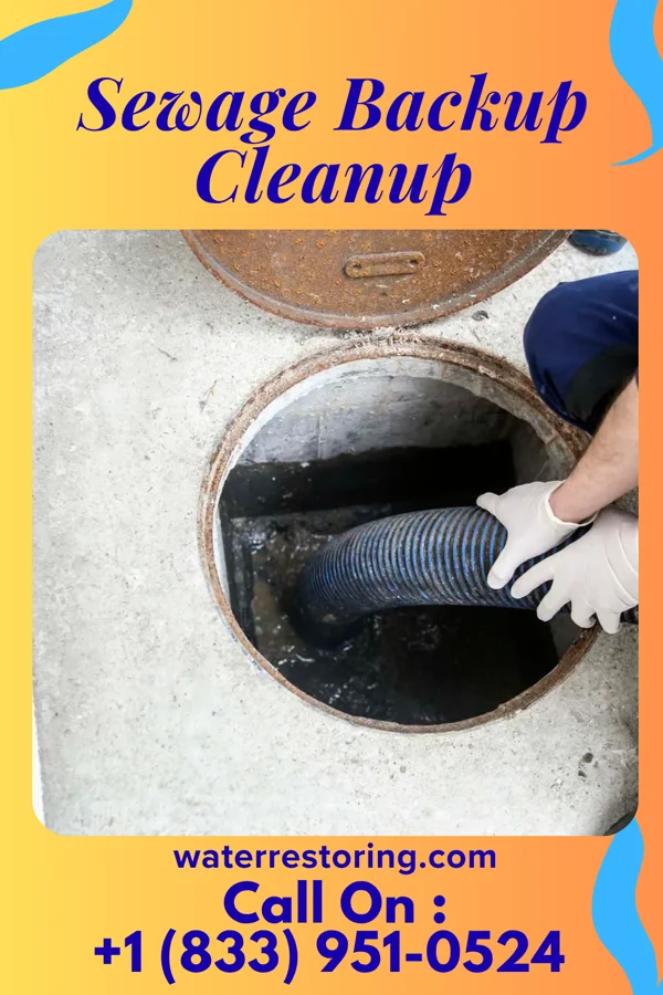 Sewage Backup Cleanup in Cheyney University, PA